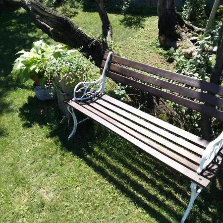 A Casa Di Roby 招待所 皮内罗洛