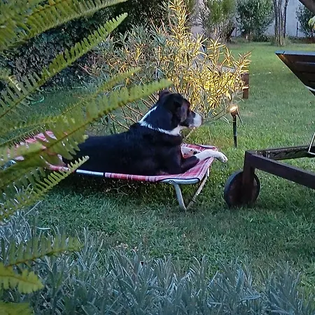 Pensión A Casa Di Roby