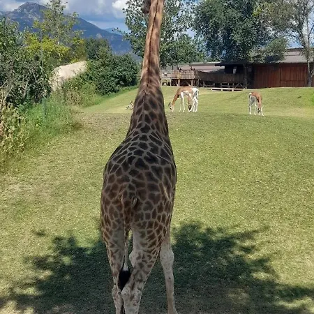 A Casa Di Roby Pensión 3*