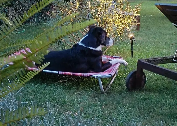 Penzion A Casa Di Roby