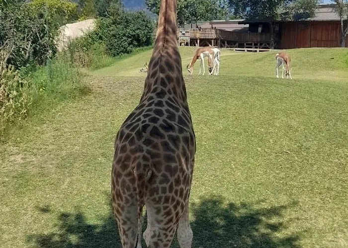 A Casa Di Roby Гостевой дом 3*